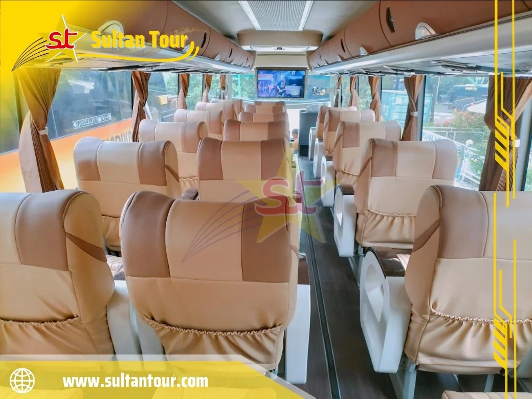 Bigbus Super Executive2.webp2